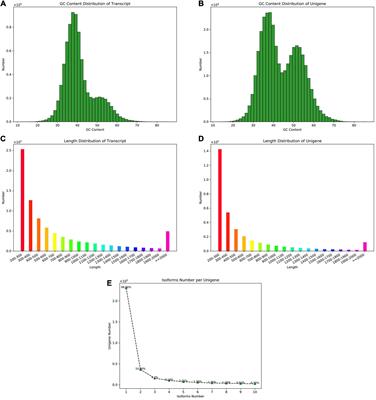 De novo Transcriptome Sequencing Coupled With Co-expression Analysis Reveal the Transcriptional Regulation of Key Genes Involved in the Formation of Active Ingredients in Peucedanum praeruptorum Dunn Under Bolting Period